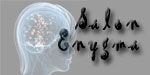 Salon Enygma - Logo