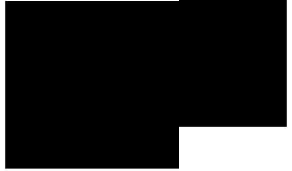 Salon Rita Fleuriste Inc - Logo