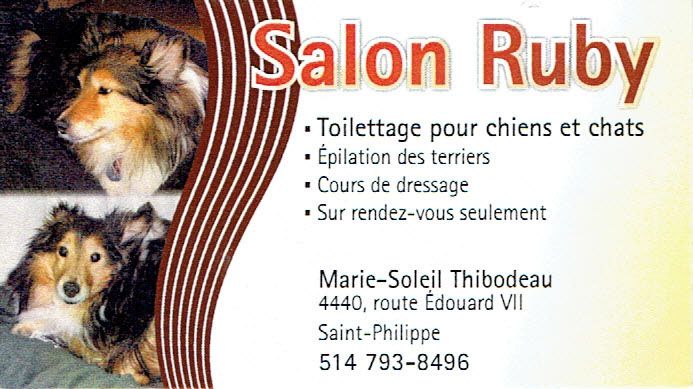 Salon Ruby - Logo