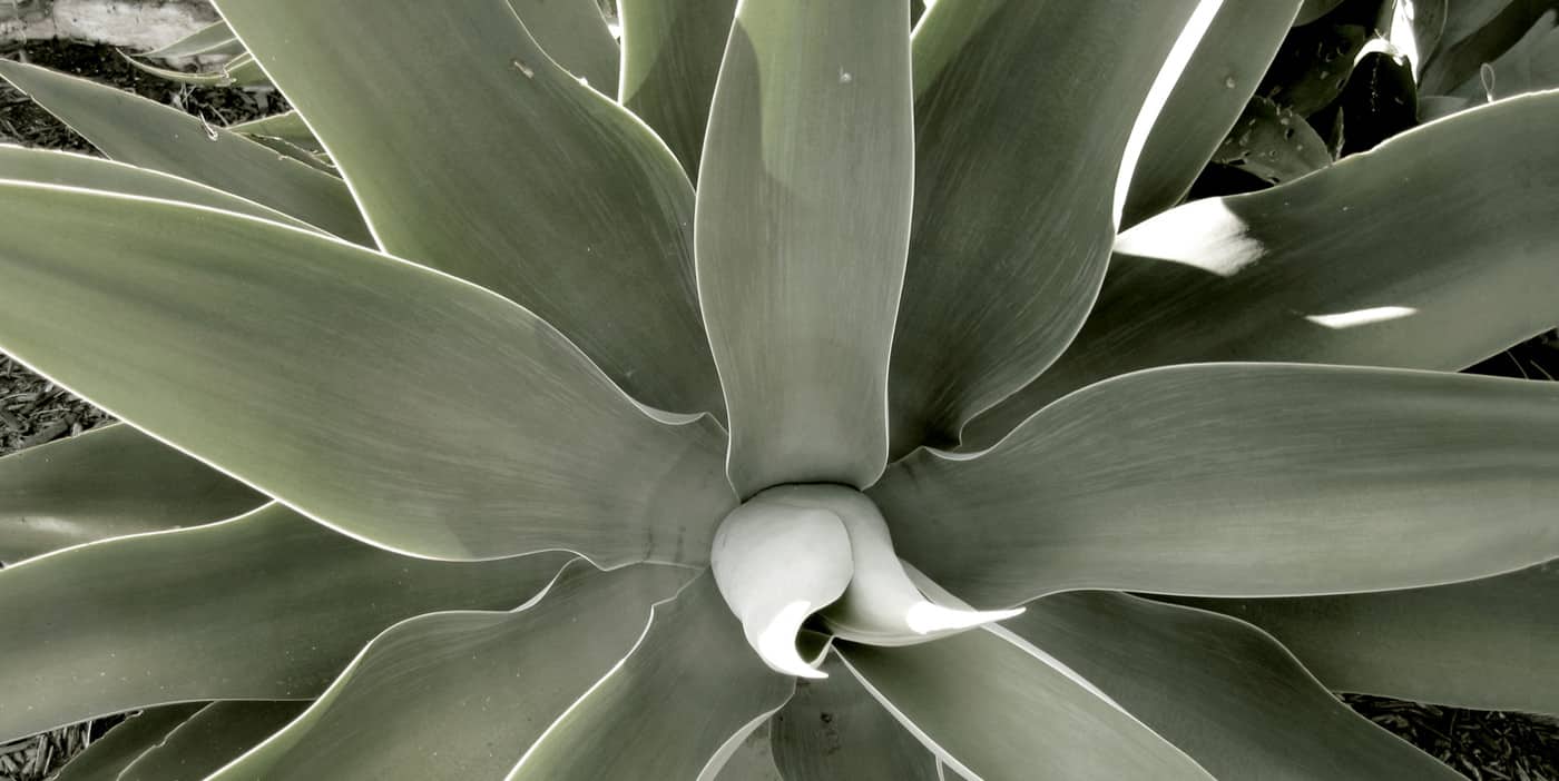 Samadhi Soul Massage Therapies - Cover photo