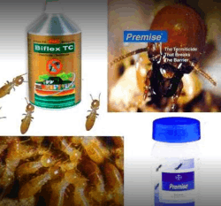 Pest Control Services - Logo