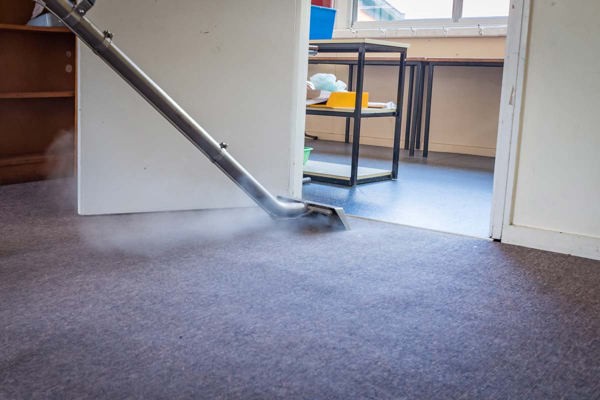 Same Day Steam Cleaning - Logo