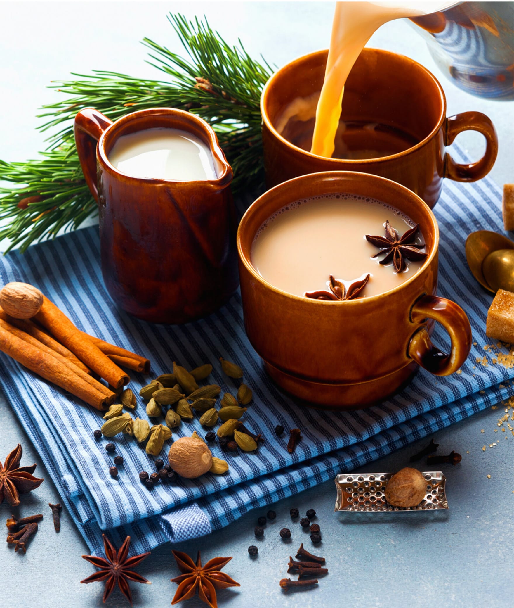 Samocha: Stories Around Chai - Logo