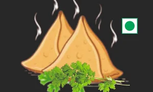 Samosa Expert - Logo
