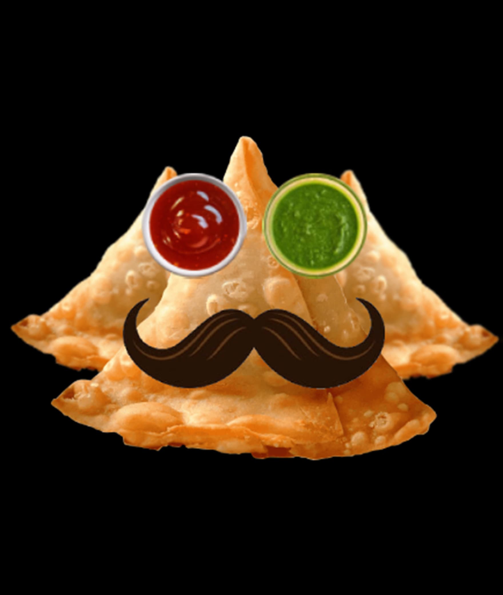 Samosa Nation - Logo