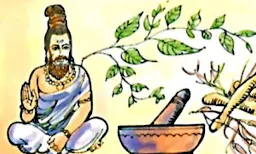 Samraksha Ayurvedic Pharmacy - Logo