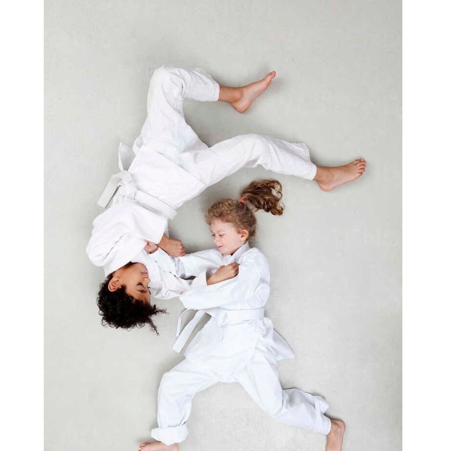 Samurai Judo Club - Logo
