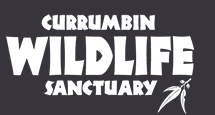 Sanctuary Cafe - Logo