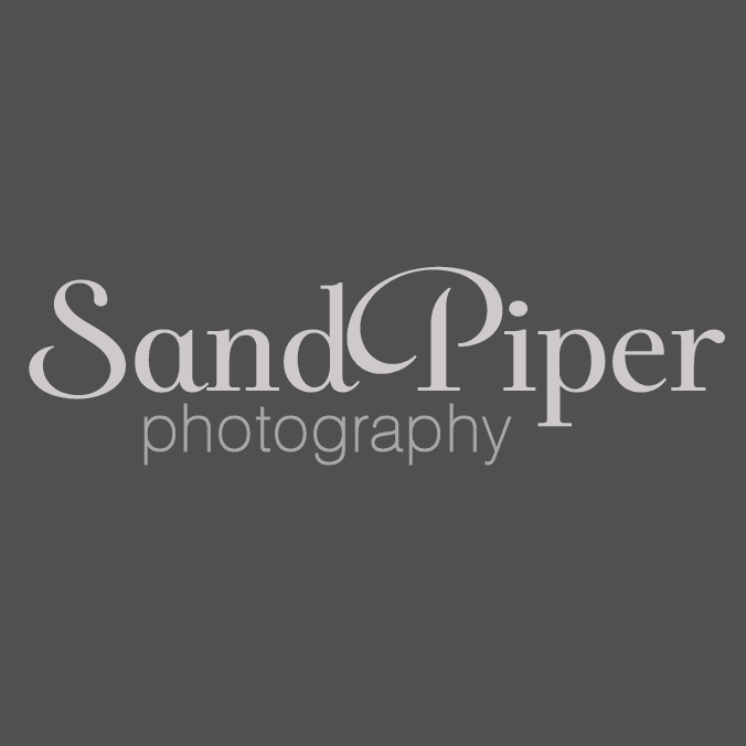 Sandpiper Photography - Logo