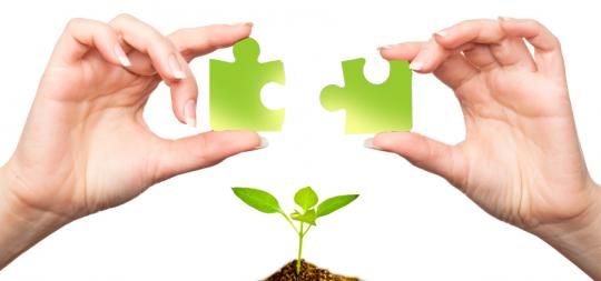 Sandra Fecht And Rick Barrett M A Counselling Service - Logo