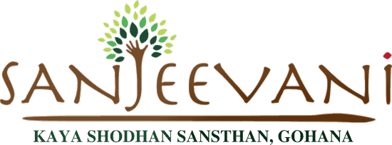 Sanjeevani Kaya Shodhan Sansthan - Cover photo