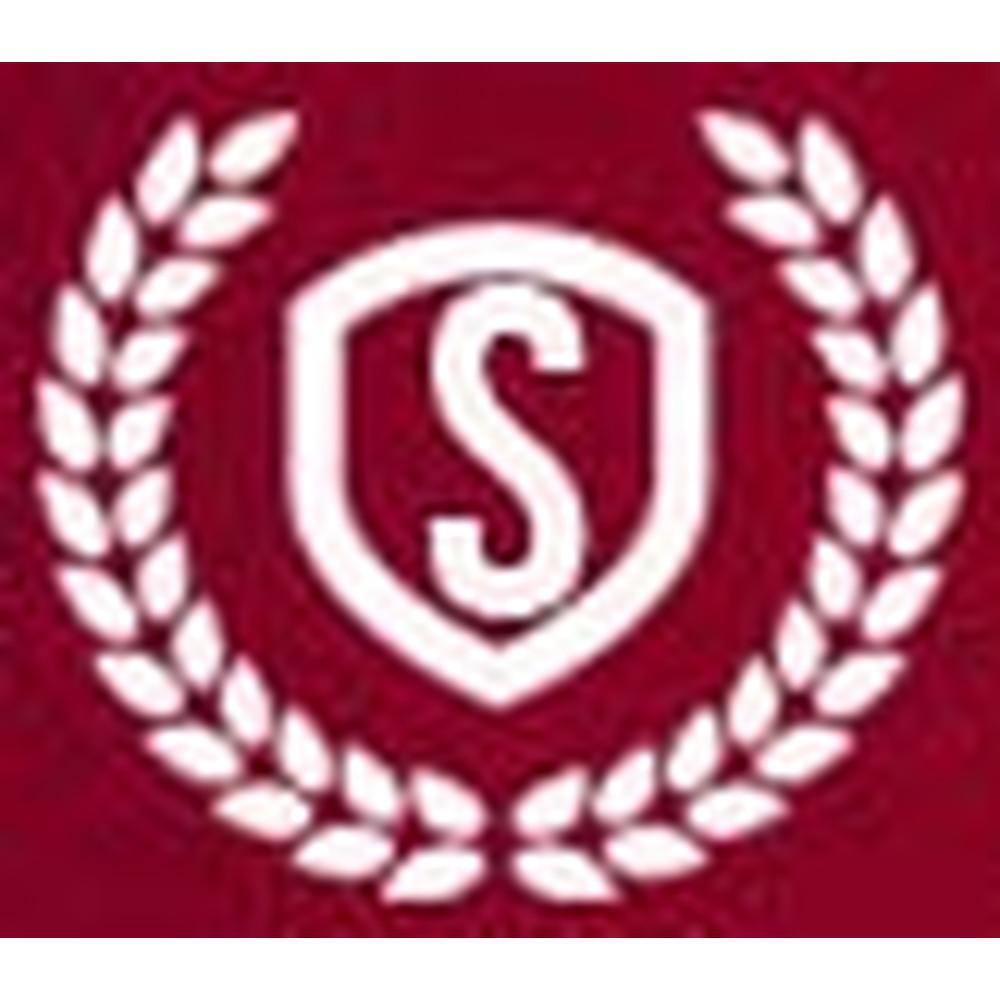 Sanjivnie Group Of Educational Institutions - Logo