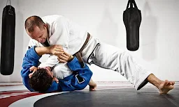 Sanshin Kan Mixed Martial Art & Fit - Logo