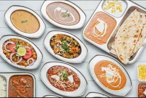 Sanskrity Food - Logo