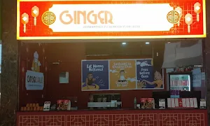 Santusht Singh - Logo