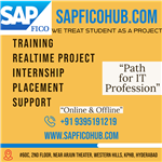 Sapfico Hub - Logo
