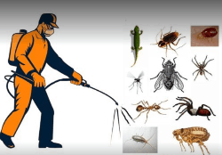 Sapra Pest Control Services - Logo