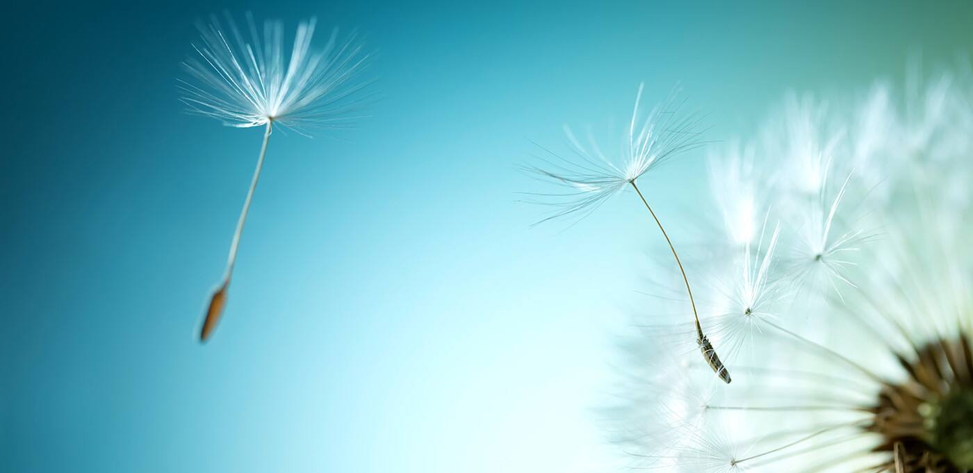 Sarah Baiada - Cover photo