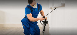 Saransh Pest Services - Logo