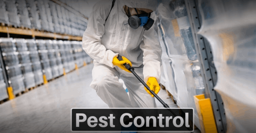 Saransh Pest Services - Cover photo