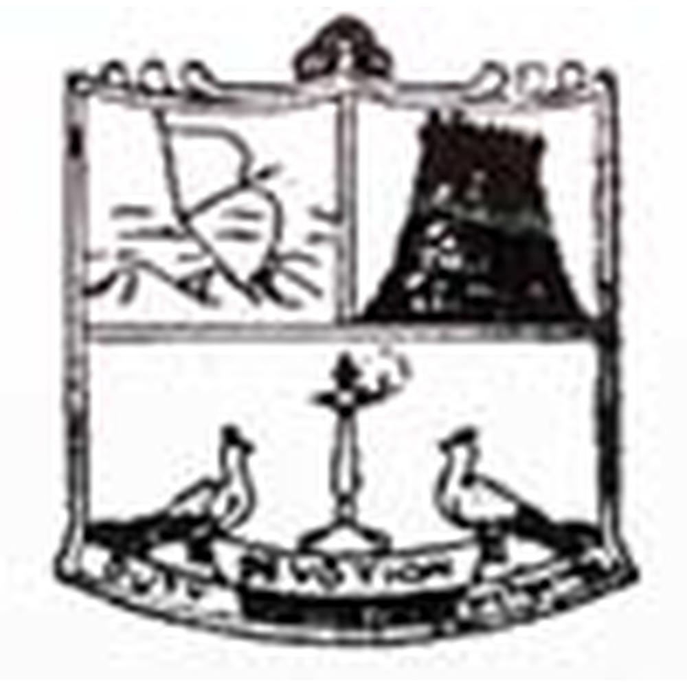 Saraswathi Narayanan College (SNC) - Logo