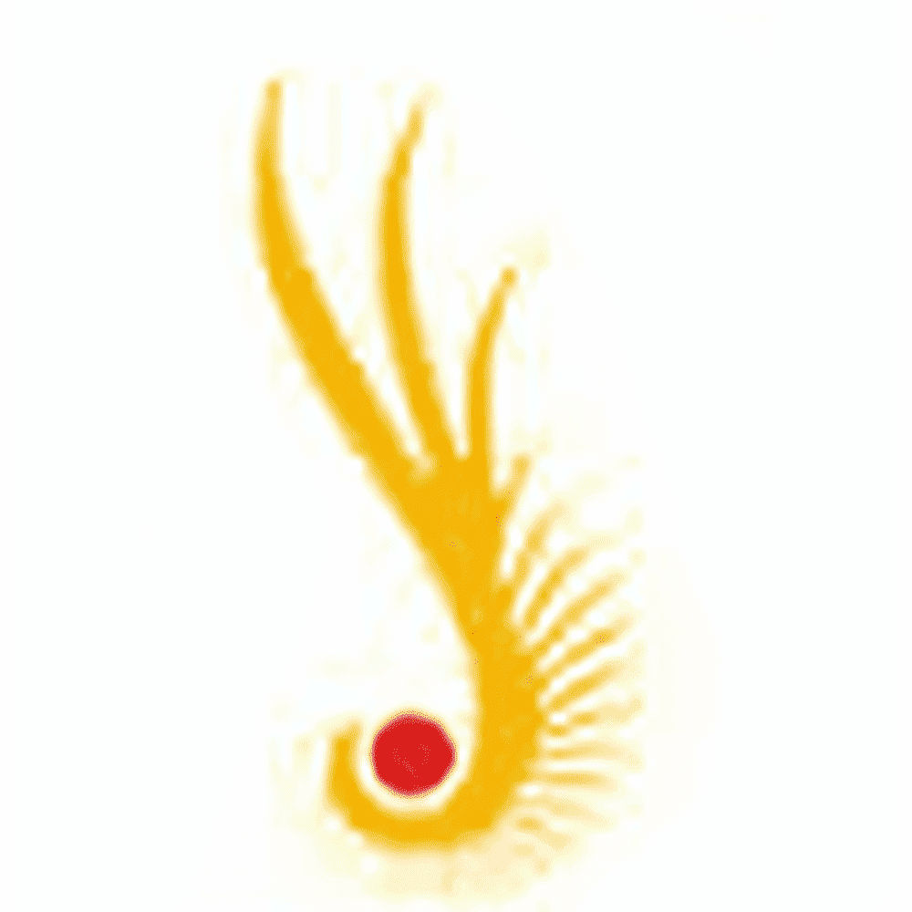 Saraswati Institute of Engineering and Management (SIEM) - Logo