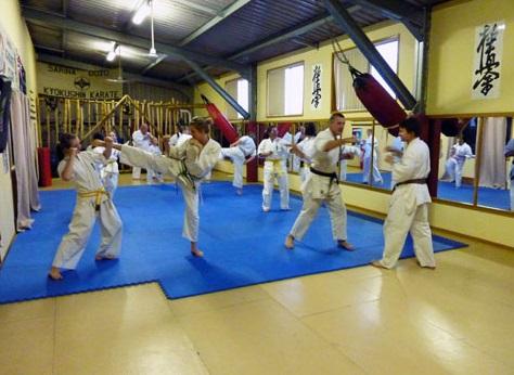 Sarina Karate Club - Logo