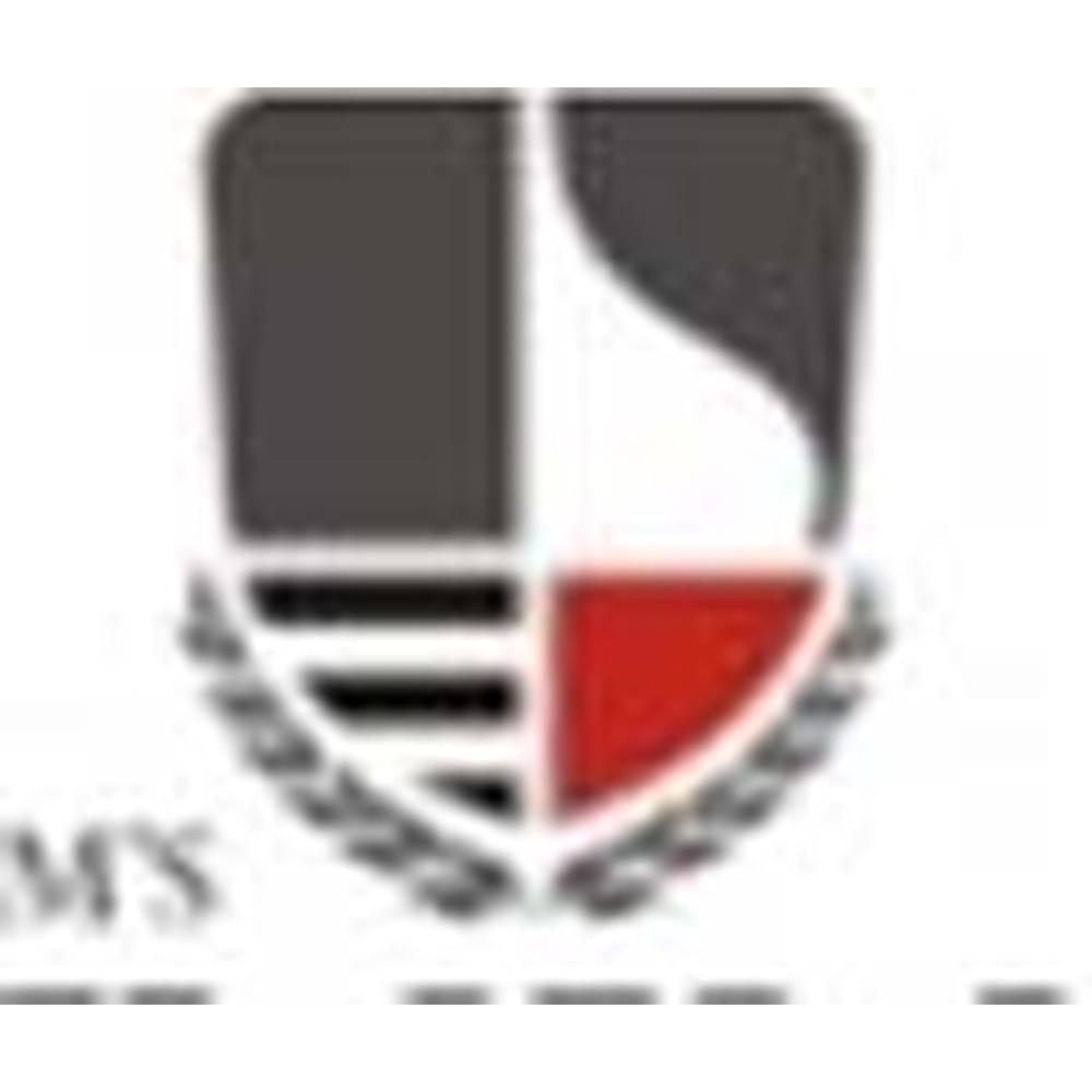 Sarla Anil Modi School of Economics (SAMSE) - Logo