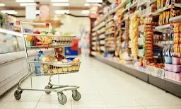 Sarvan General Store - Logo