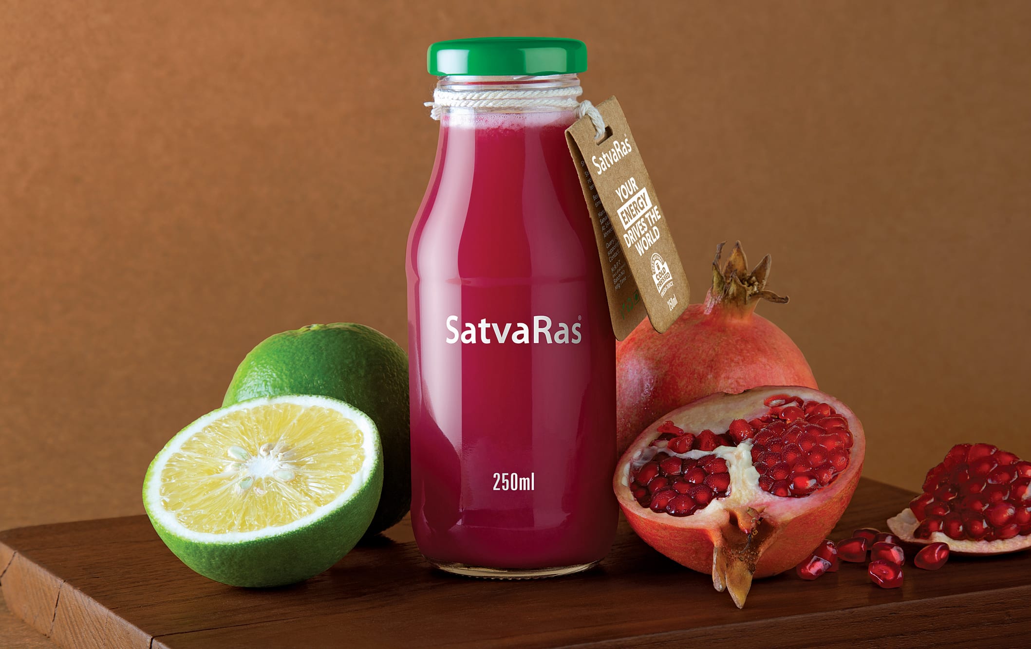 Satvaras - Logo