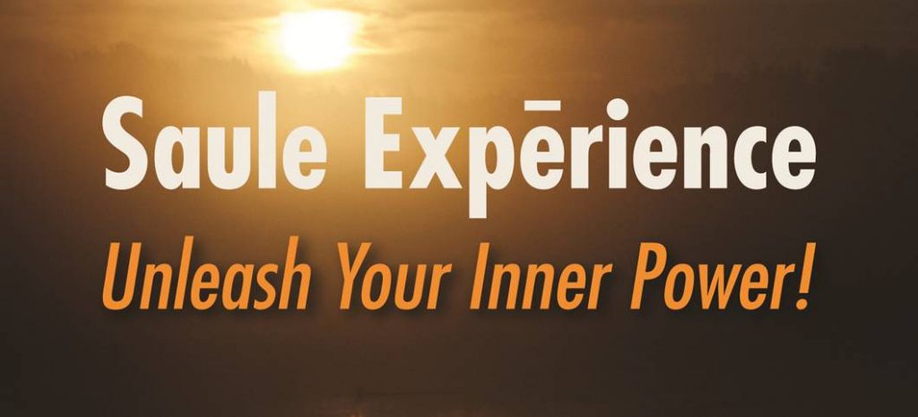 Saule Expérience - Cover photo