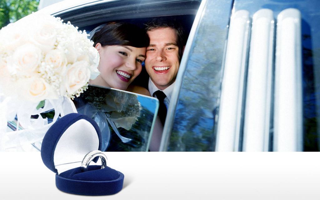 Savannah Limousine - Logo