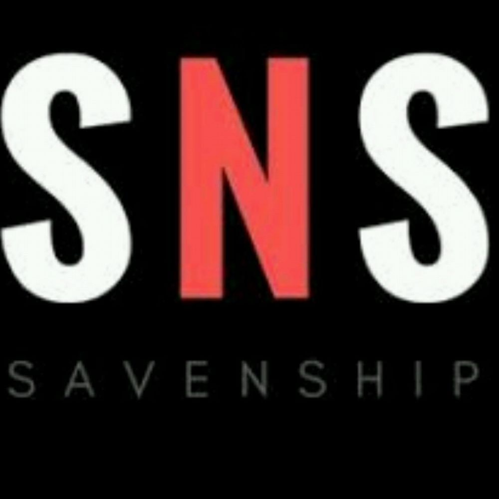 Save N Ship - Logo
