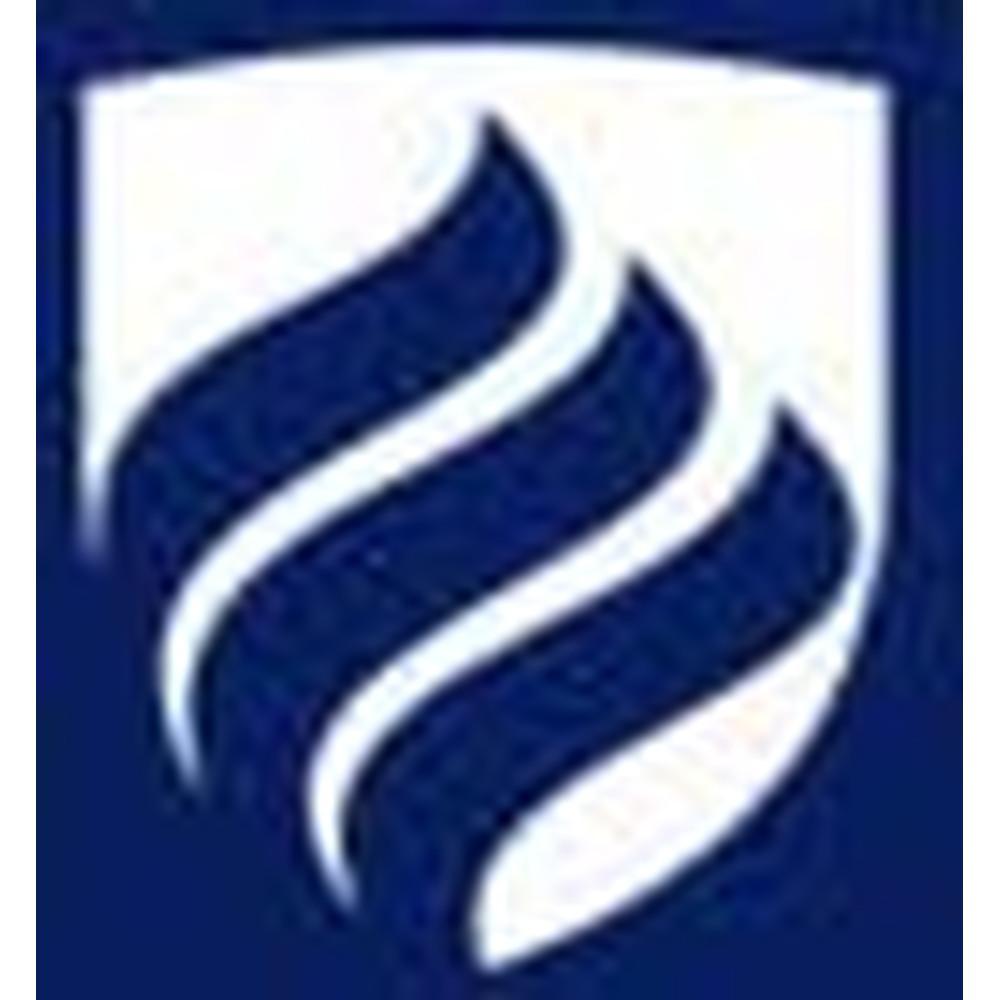 Savita Devi Institute of Technology (SDIT ) - Logo