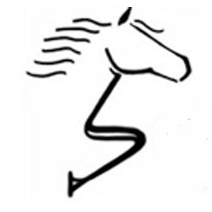 Sawatzky Equine Services - Logo