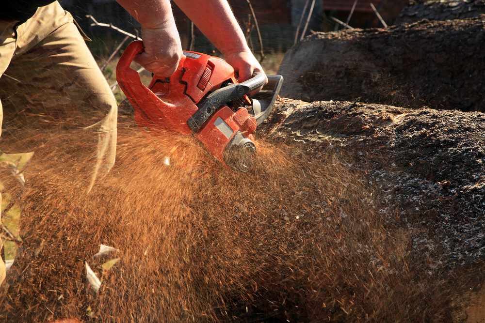 Sawtech Qld - Logo