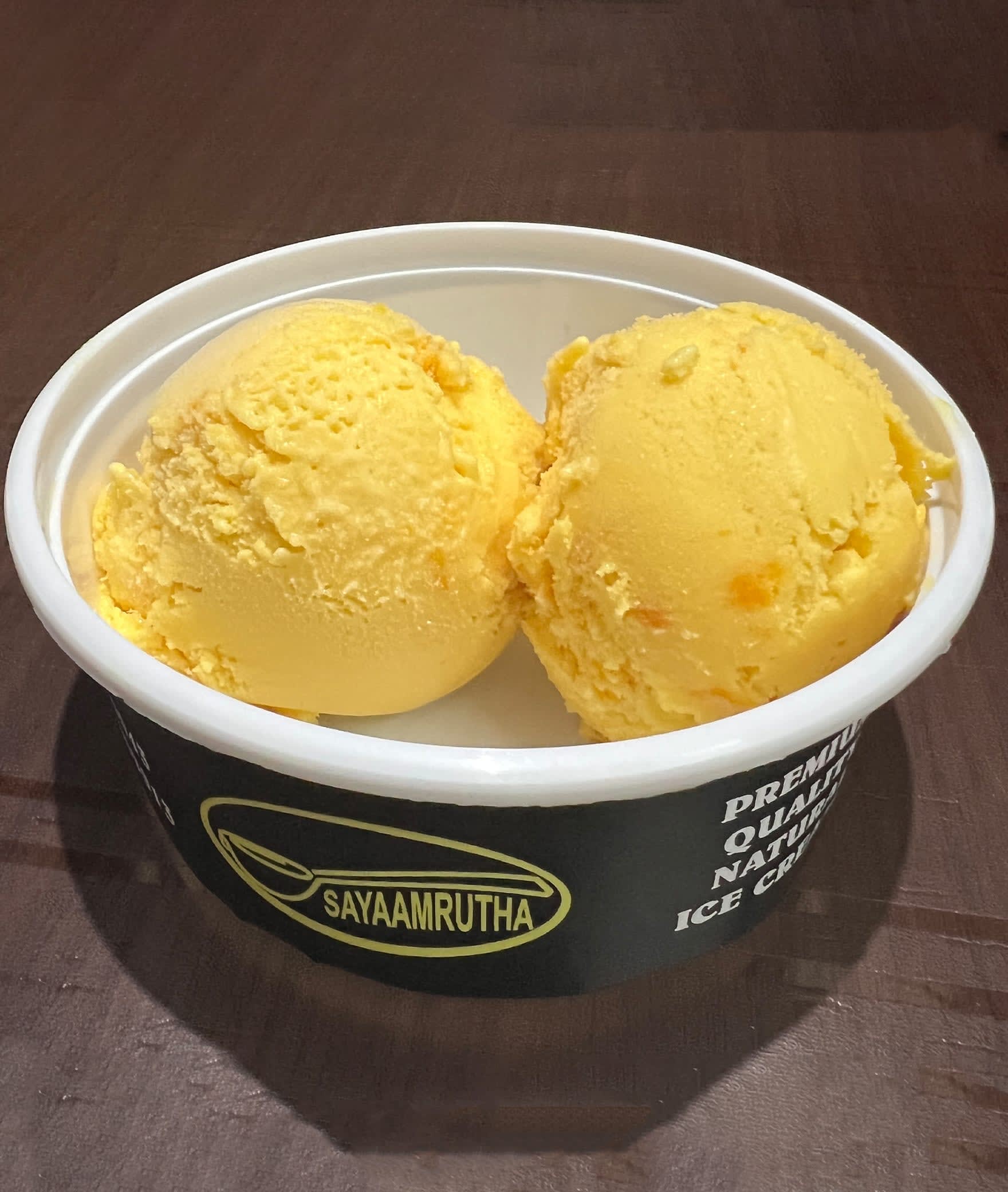 Sayaamrutha Natural ice cream - Logo
