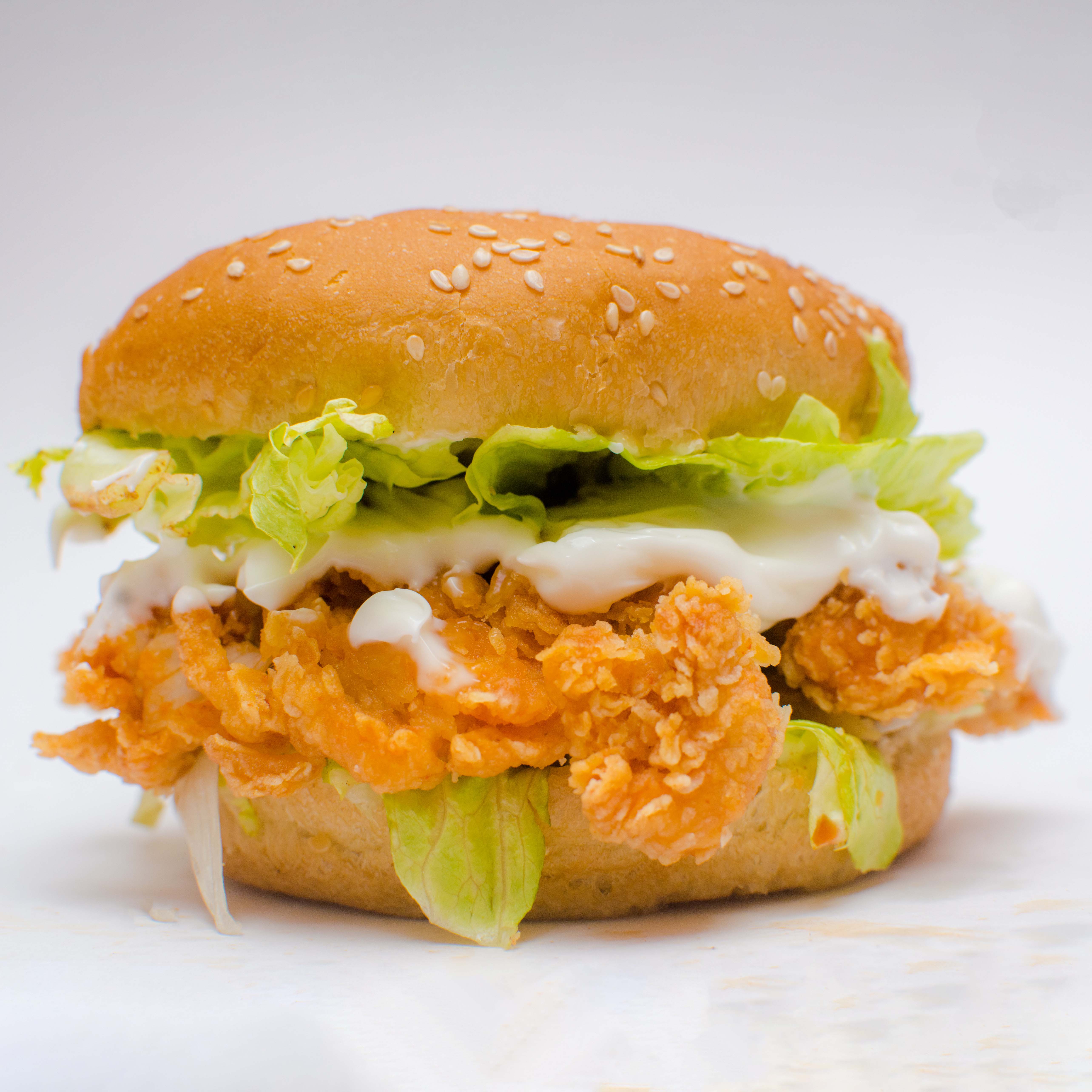 SBFC Food Funda - Logo