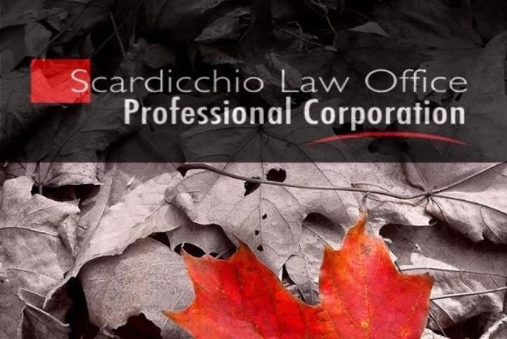 Scardicchio Law Office Professional Corporation - Logo
