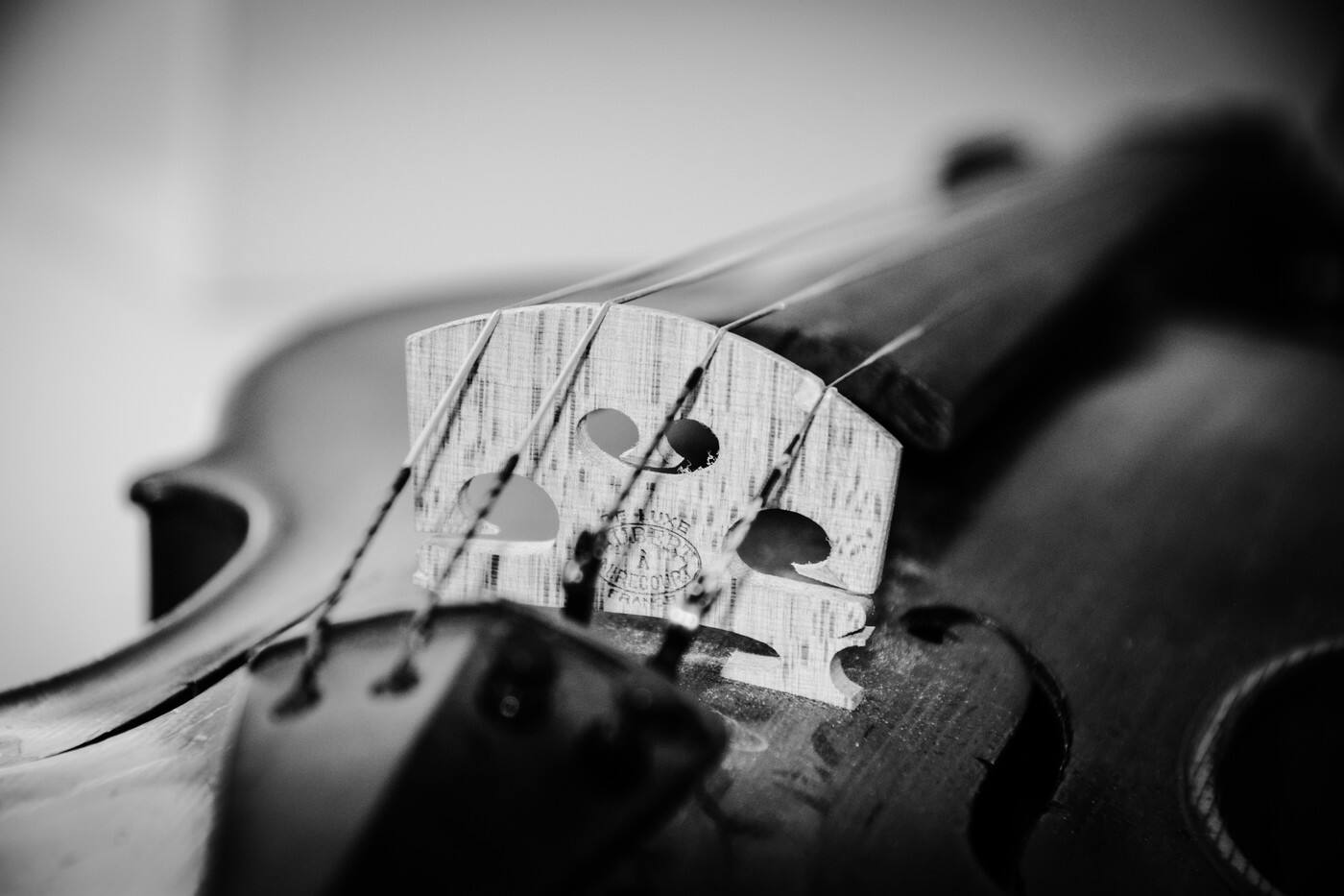 Score Division Ensembles - Cover photo