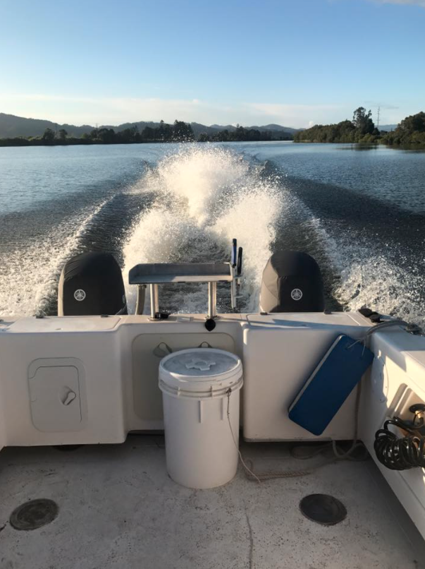 Scott Wischer Marine Services - Logo