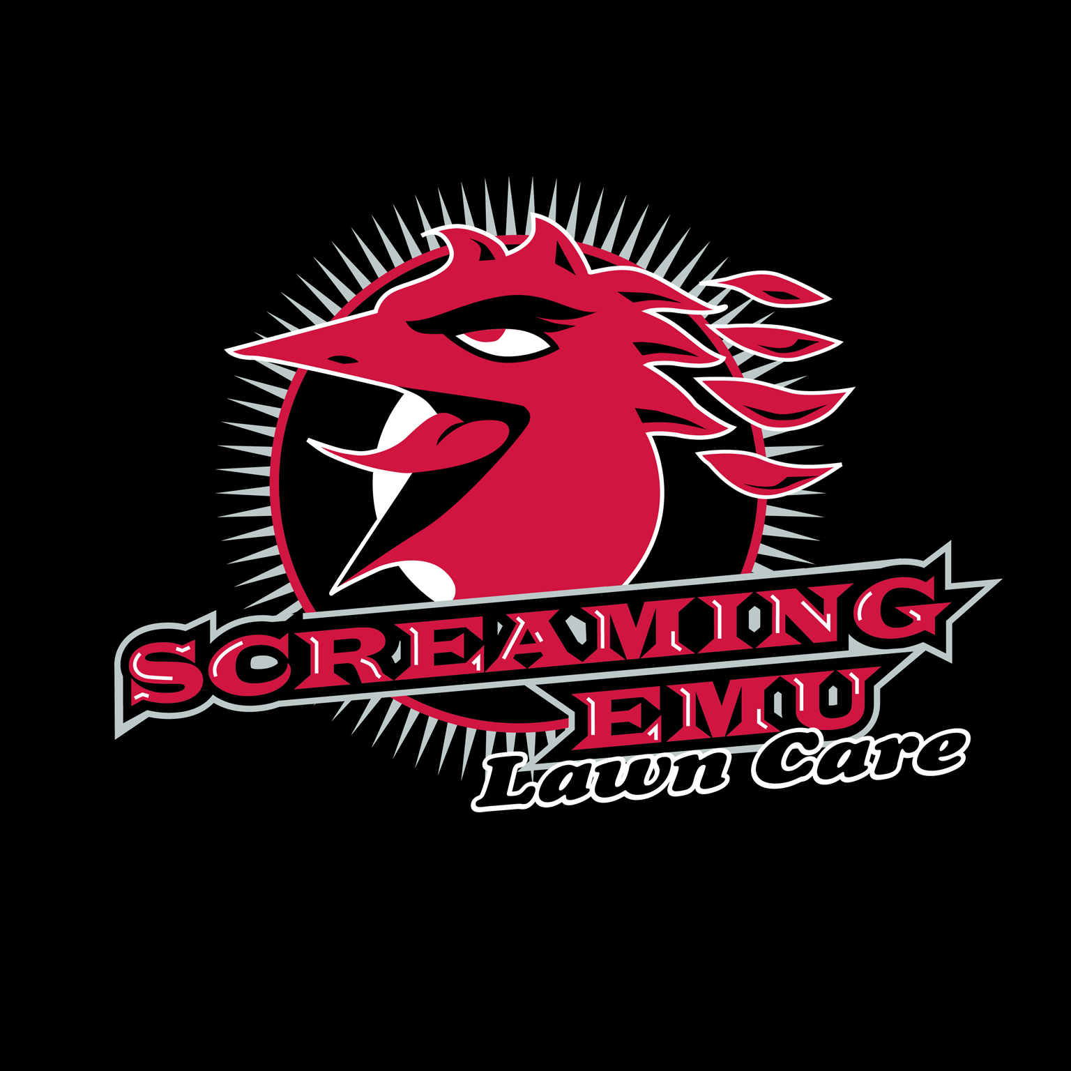Screaming Emu - Cover photo