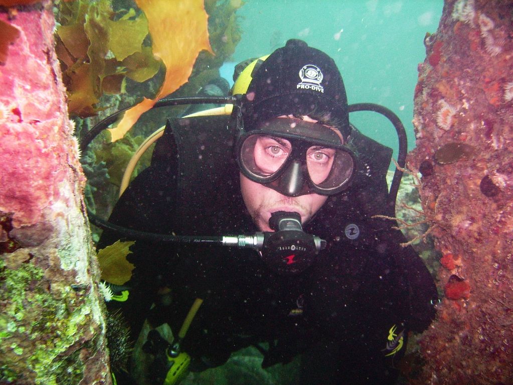 Scuba Steve&s;s Diving - Logo