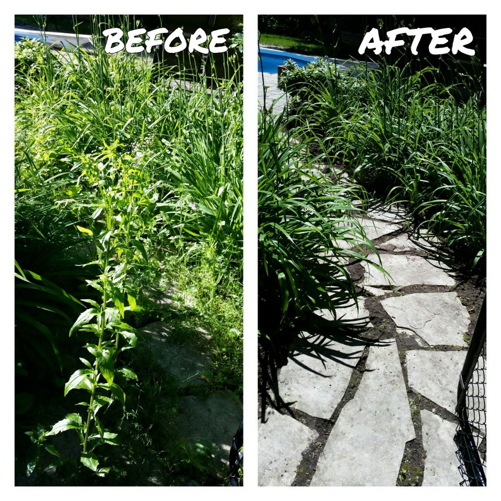 SD&a;G Landscaping - Cover photo