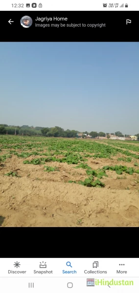 S.D.S Degree College Koshi Khurd Mathura - Logo