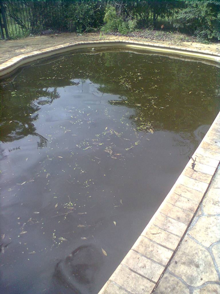 Seacliff Pool Cleaning - Cover photo