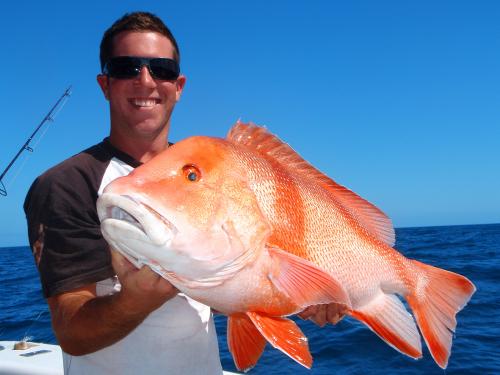 Sea Fever Sportfishing Whitsundays�Fishing - Cover photo