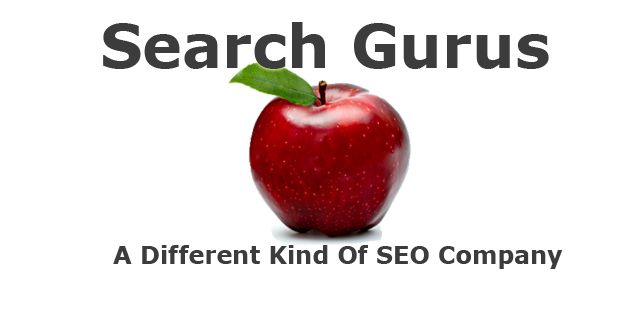 Search Gurus Inc. - Cover photo