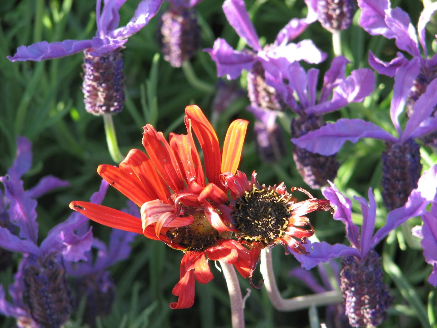 Seasonal Landscapes - Cover photo