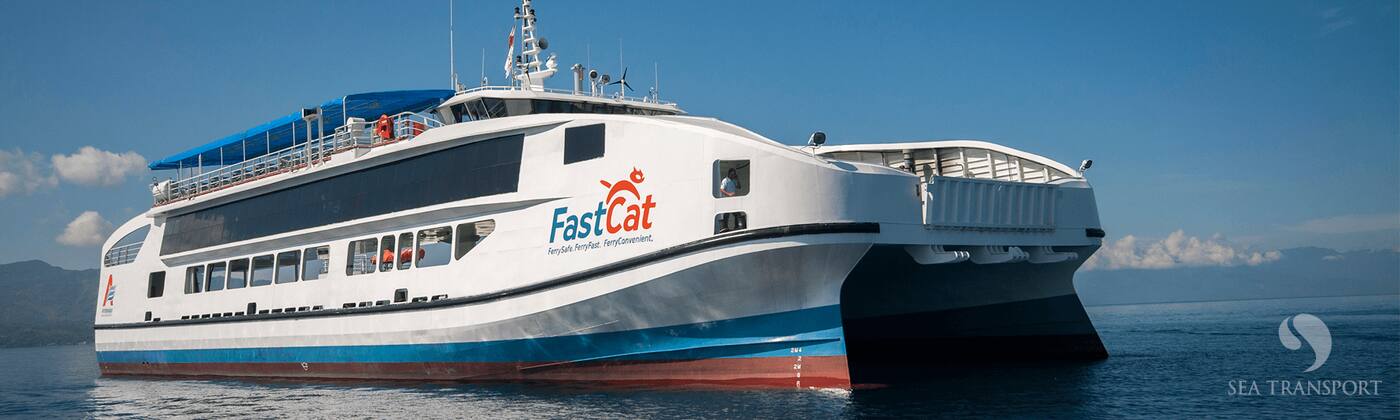 Sea Transport Solutions - Logo